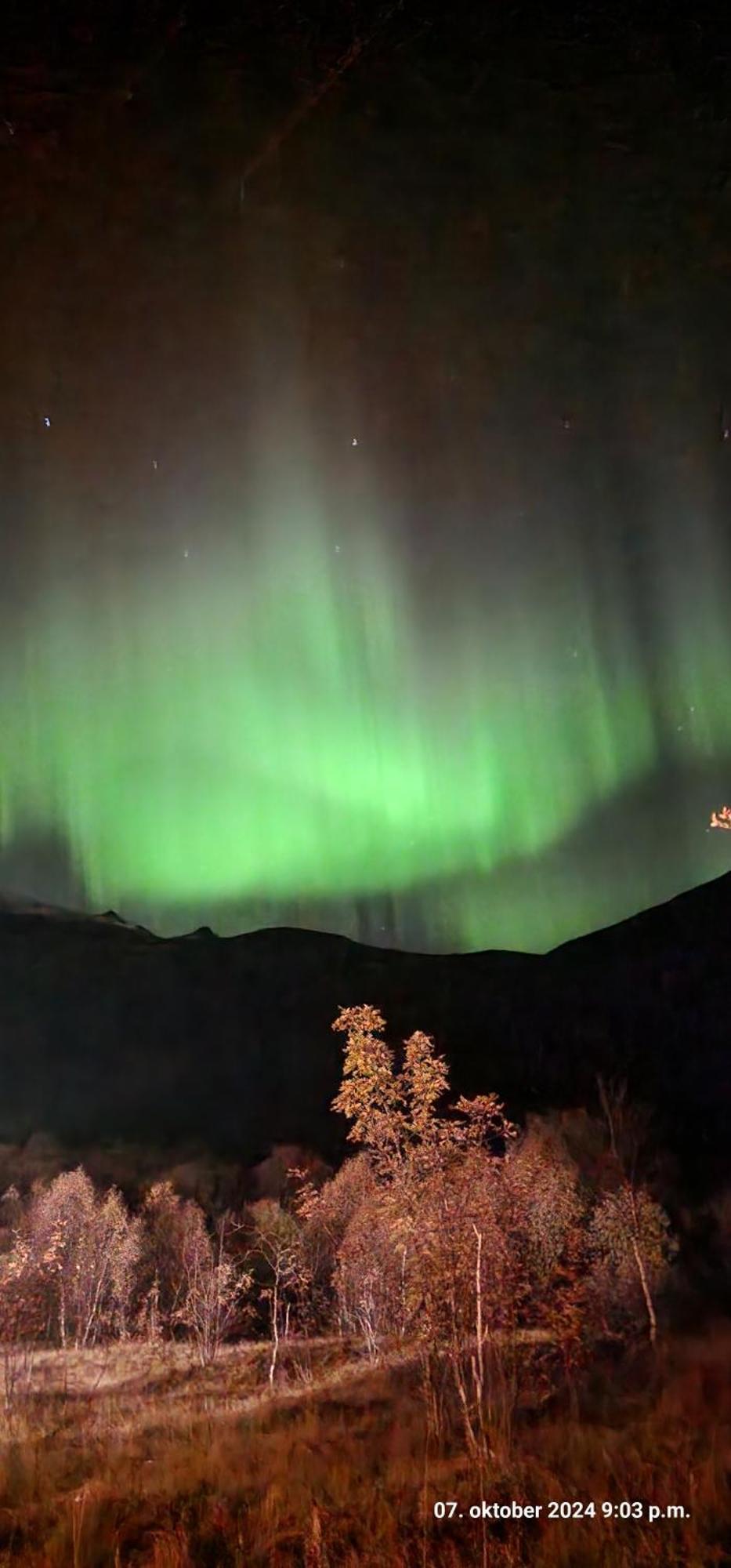 Pilan Lodge Lofoten Vestpollen Eksteriør billede
