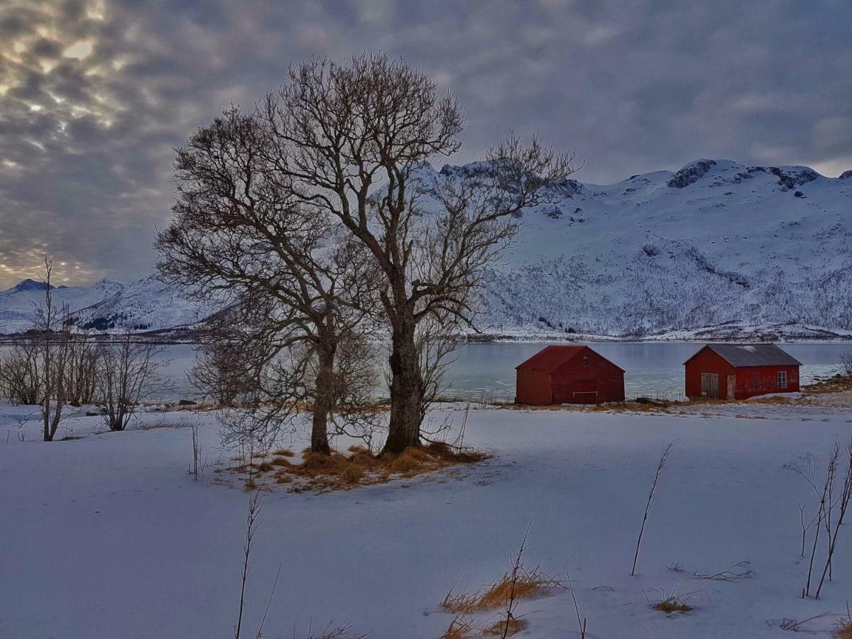 Pilan Lodge Lofoten Vestpollen Eksteriør billede